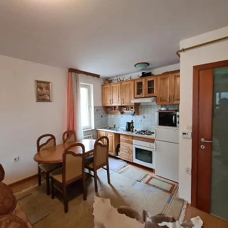 Sa Garaznim Mjestom *